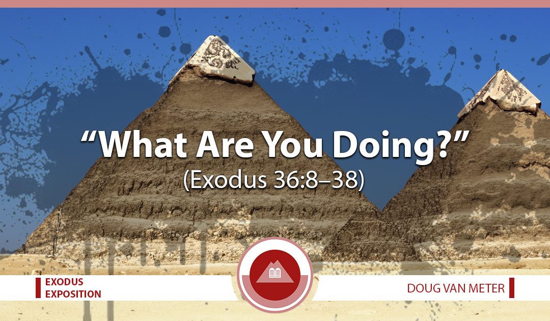 What Are You Doing? (Exodus 36:8-38)