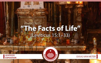 The Facts of Life (Leviticus 15:1-33)