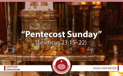 Pentecost Sunday (Leviticus 23:15-22)