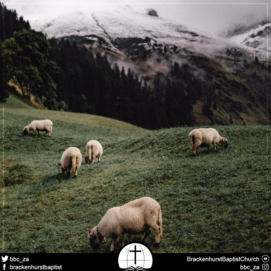 Gentle and Lowly—and It’s Free