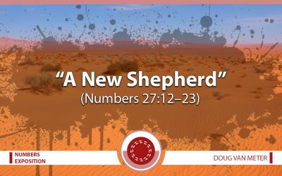 A New Shepherd (Numbers 27:12–23)