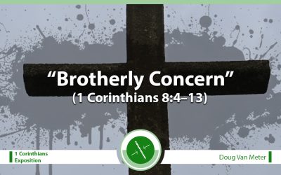 Brotherly Concern (1 Corinthians 8:4–13)